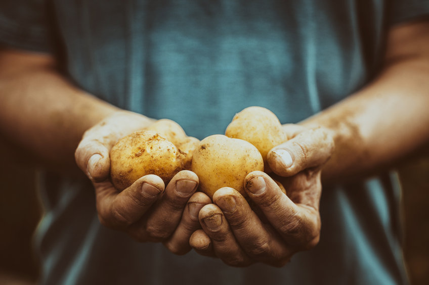 5 raisons de lancer une entreprise de commercialisation de fruits et légumes bio