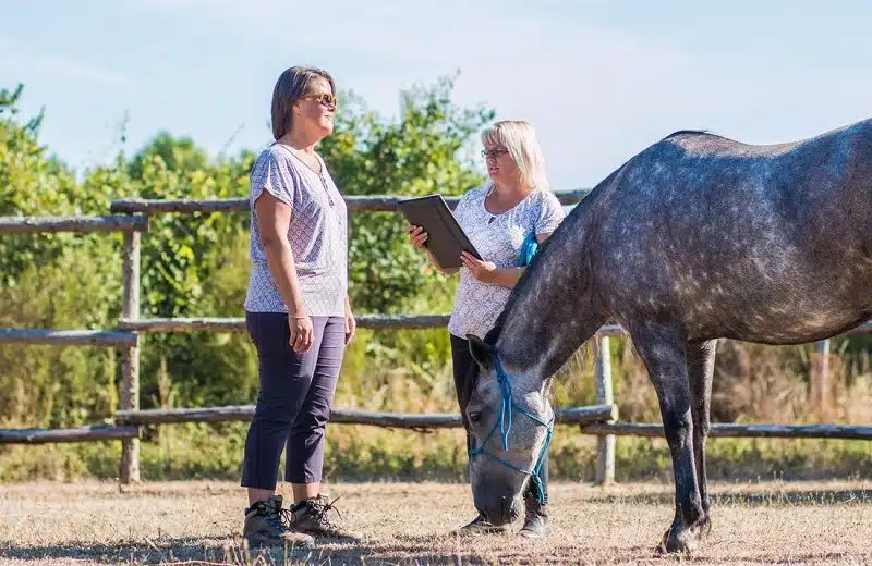 Equicoaching qu'est-ce que c'est et à quoi ça sert
