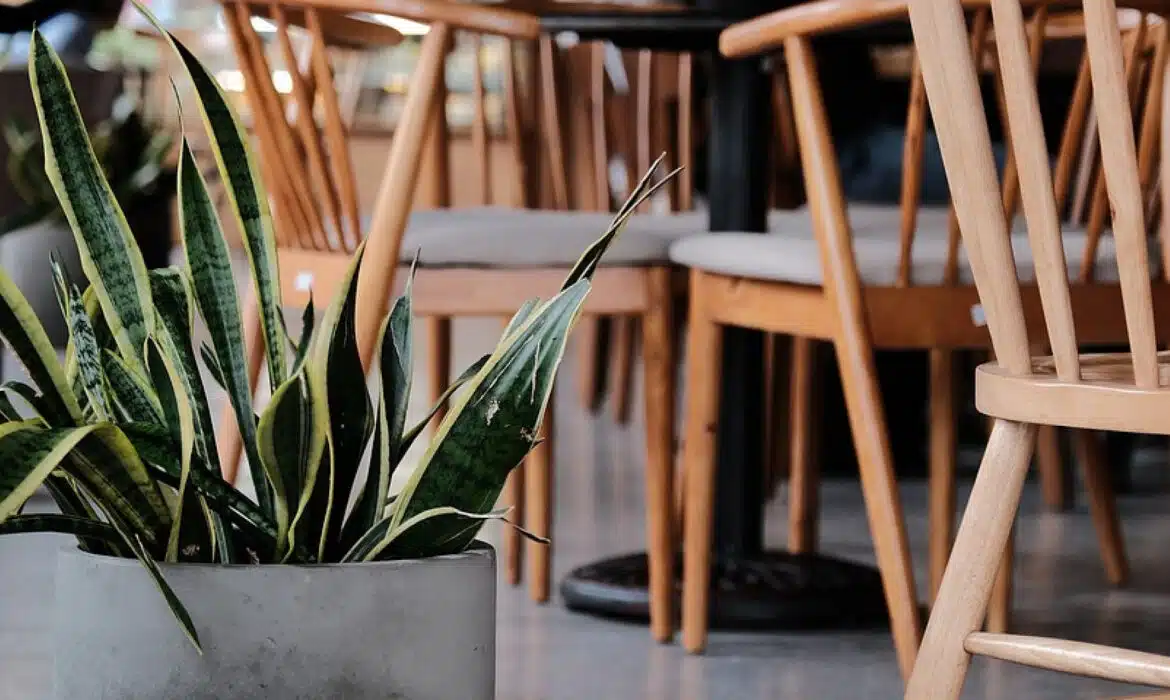 Distributeurs de boissons automatiques en salle de pause : un avantage pour le bien-être des employés !