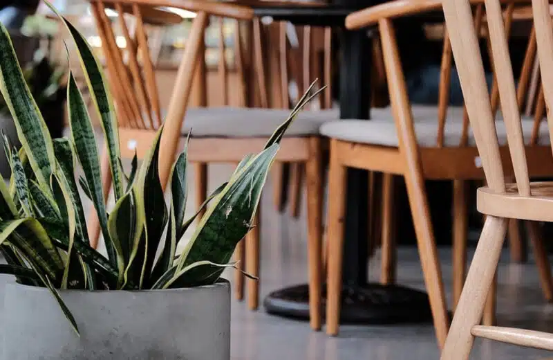 Distributeurs de boissons automatiques en salle de pause : un avantage pour le bien-être des employés !