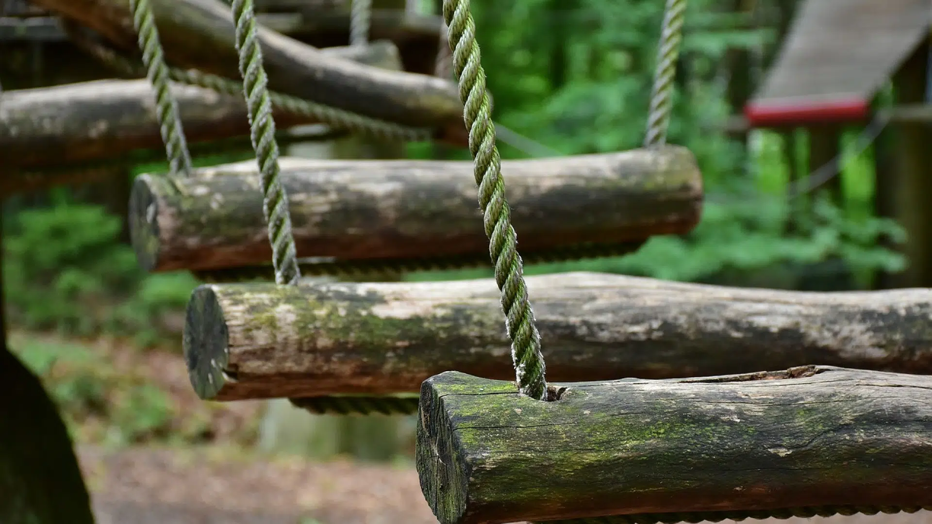 Lancer un business avec un parc dédié à des parcours Ninja