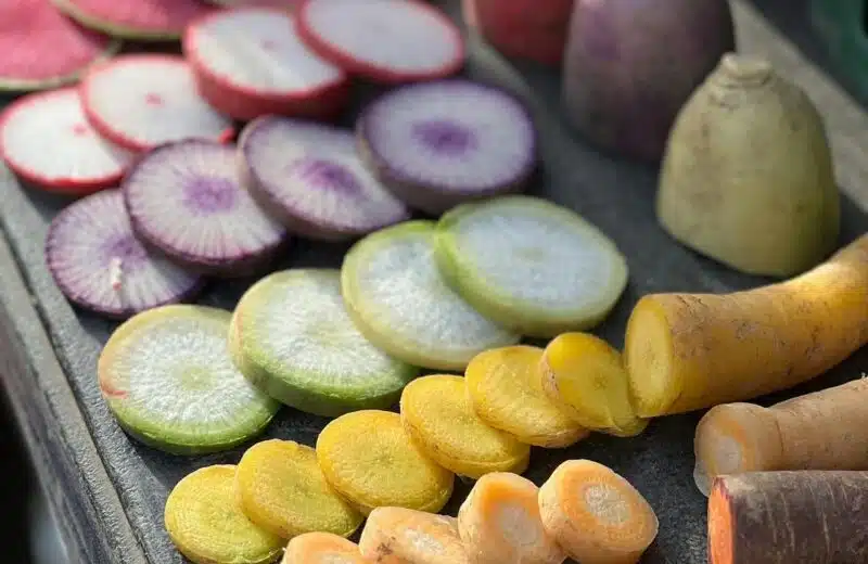 Optimisation de la conservation alimentaire : l’importance des équipements de refroidissement spécialisés